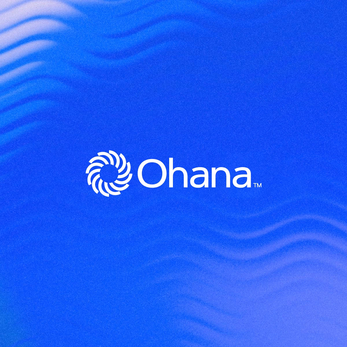 Ohana data solutions brand identity system by Evoke Studio